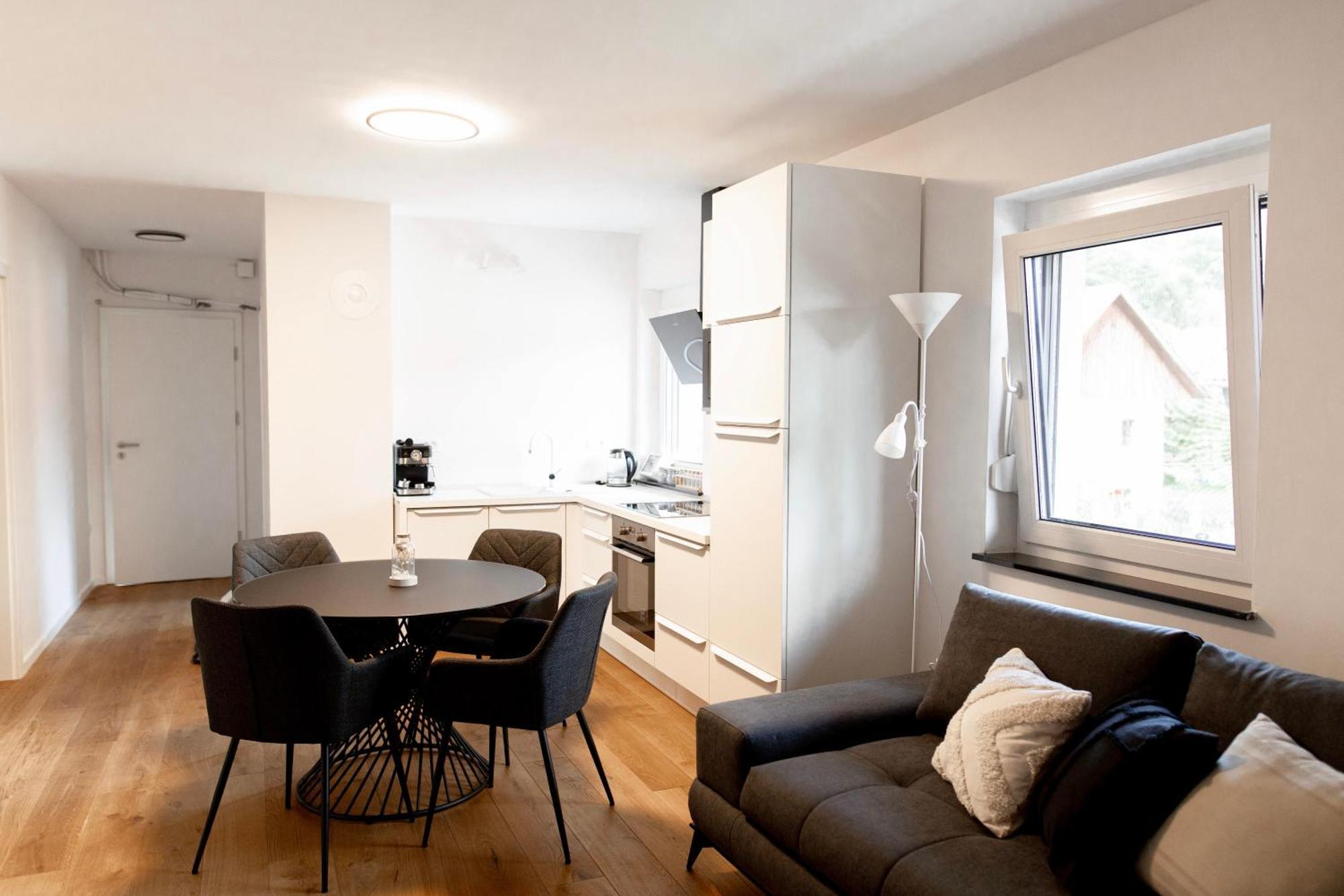 Aura Apartment Zirovnica